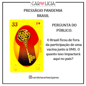 Presságio Pandemia Brasil Carolicia pergunta1 